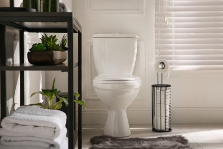 Toilet Trouble? When to Repair vs. Replace Your Toilet
